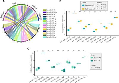 Landscape of immune infiltration in entorhinal cortex of patients with Alzheimerʼs disease